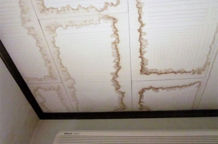 天井からの雨漏り・点検。養生など